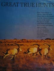 Tapa de Great True hunts