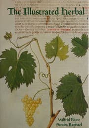 Tapa de The illustrated herbal