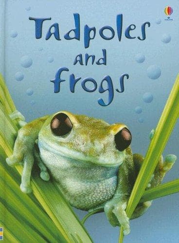 Tapa de Tadpoles and Frogs (Beginners Nature, Level 1)