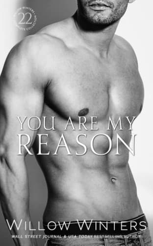 Tapa de You Are My Reason