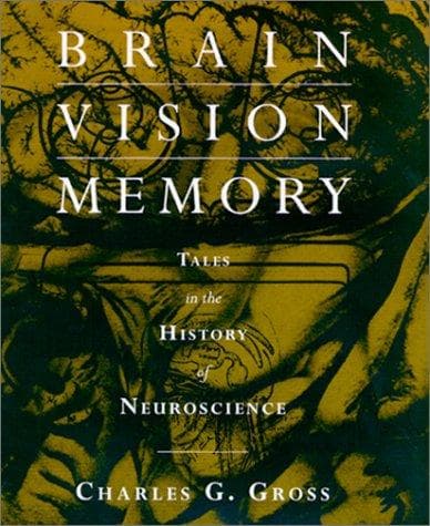 Tapa de Brain, Vision, Memory