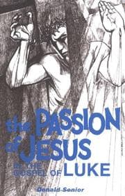 Tapa de The passion of Jesus in the gospel of Luke