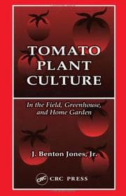 Tapa de Tomato plant culture
