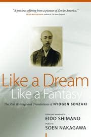 Tapa de Like a dream, like a fantasy