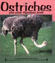 Tapa de Ostriches and other flightless birds