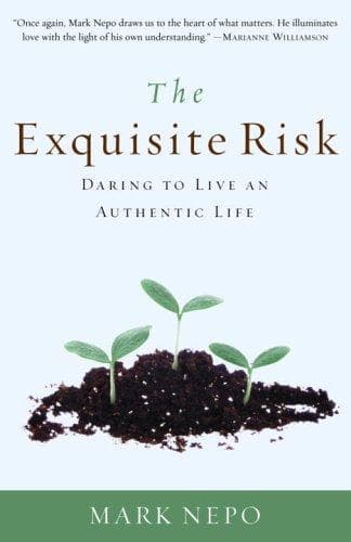 Tapa de The Exquisite Risk