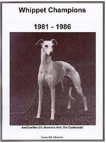 Tapa de Whippet champions
