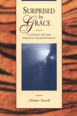 Tapa de Surprised By Grace