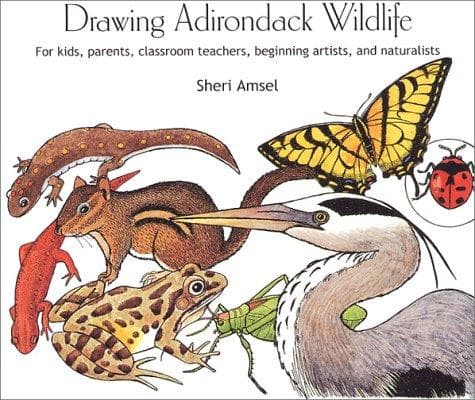 Tapa de Drawing Adirondack Wildlife