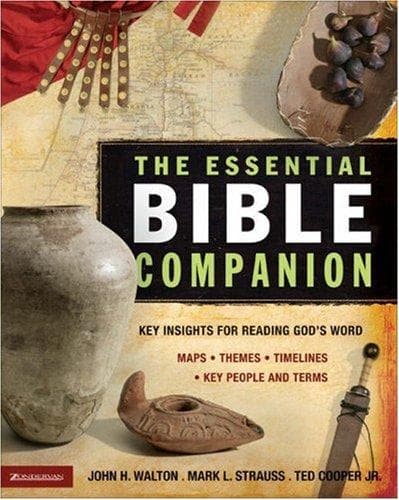 Tapa de The essential Bible companion