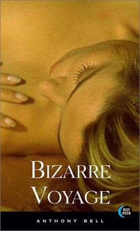 Tapa de Bizarre voyage