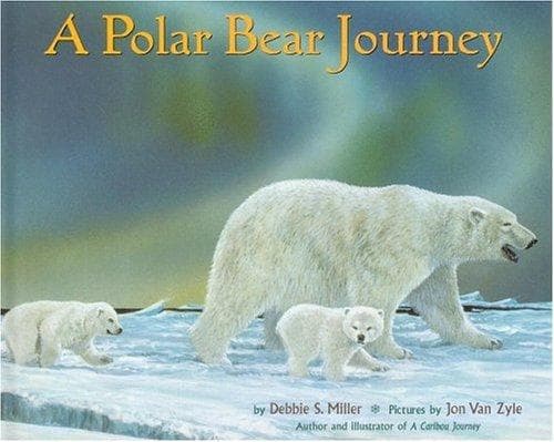Tapa de A polar bear journey