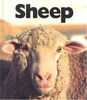 Tapa de Sheep