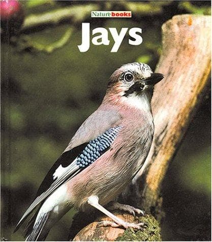 Tapa de Jays