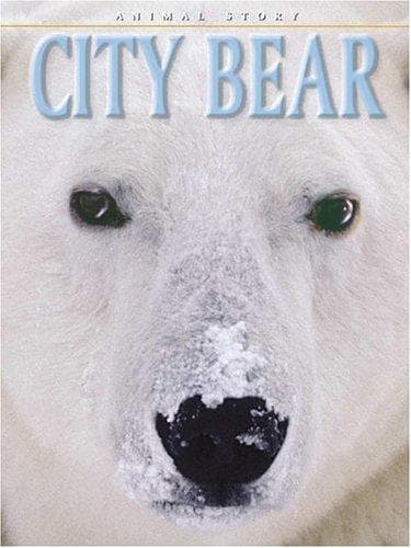 Tapa de City Bear