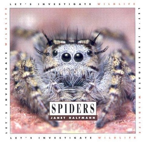 Tapa de Spiders