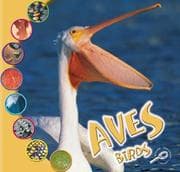 Tapa de Aves