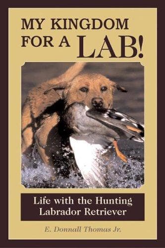 Tapa de My Kingdom For A Lab