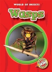 Tapa de Wasps