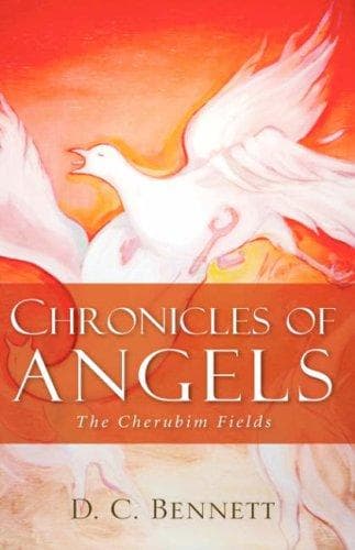 Tapa de Chronicles of Angels