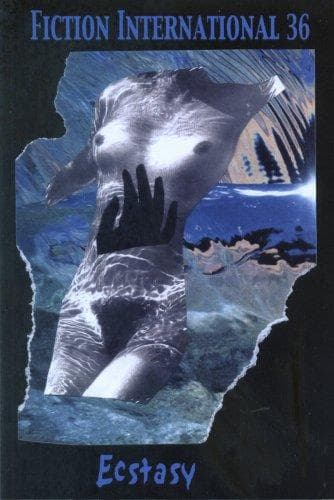 Tapa de Fiction International 36