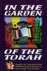 Tapa de In the garden of the Torah