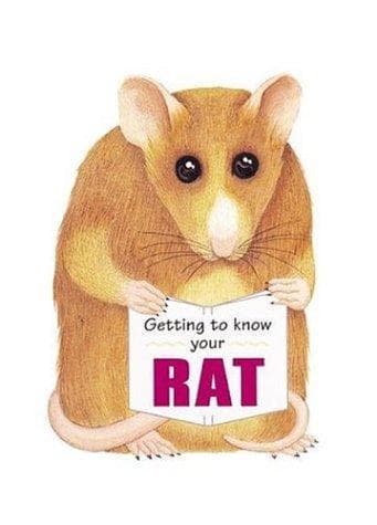 Tapa de Getting to Know Your Rat (Getting to Know Your...)