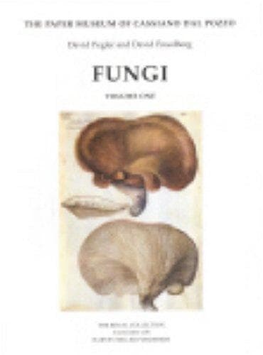 Tapa de Fungi