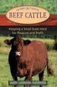 Tapa de Beef Cattle