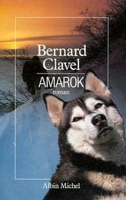 Tapa de Amarok