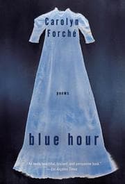 Tapa de Blue Hour