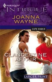 Tapa de A Clandestine Affair
