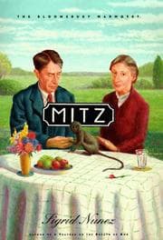 Tapa de Mitz