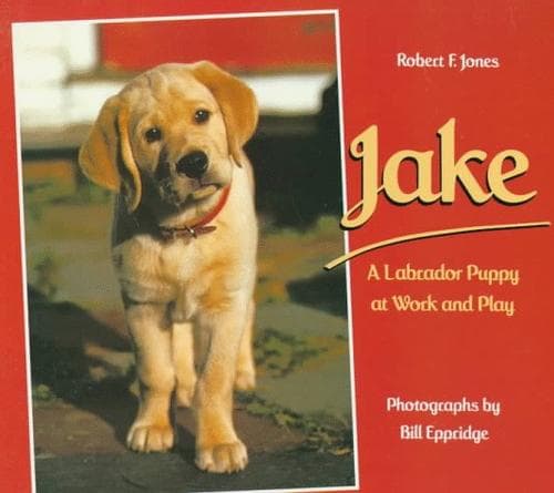 Tapa de Jake