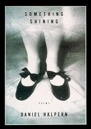 Tapa de Something shining