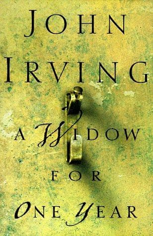 Tapa de A widow for one year