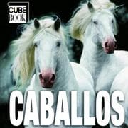 Tapa de Caballos