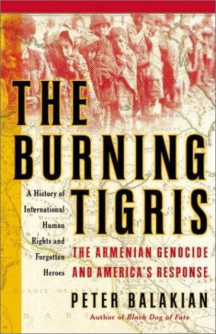 Tapa de The Burning Tigris