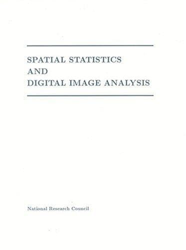 Tapa de Spatial statistics and digital image analysis