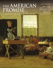Tapa de The American promise