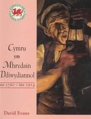 Tapa de Cymru Ym Mhrydain Ddiwydiannol Tua 1760 - Tua 1900 (Focus on Welsh History)
