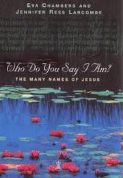 Tapa de Who Do You Say I Am?