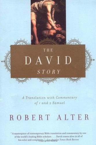 Tapa de The David Story