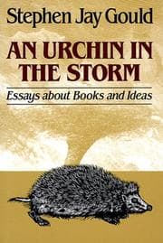 Tapa de Urchin in the Storm