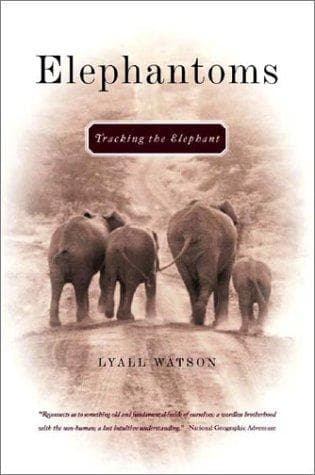 Tapa de Elephantoms