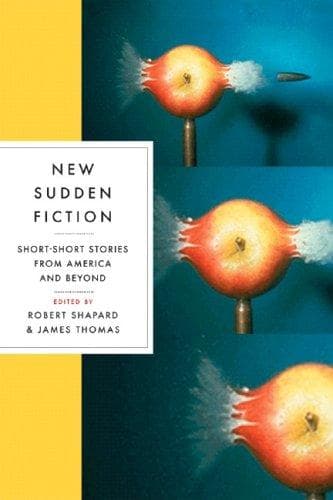 Tapa de New Sudden Fiction