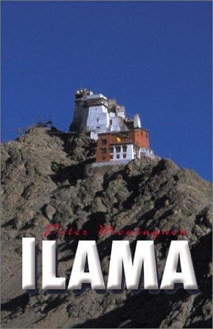 Tapa de Llama