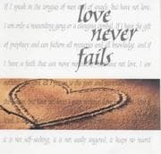 Tapa de Love Never Fails