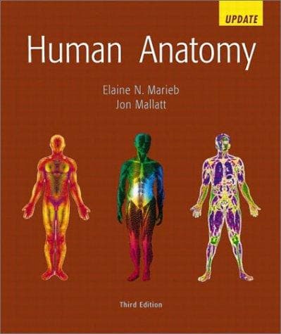 Tapa de Human Anatomy Update