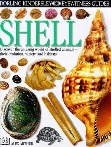 Tapa de Shell (Eyewitness)